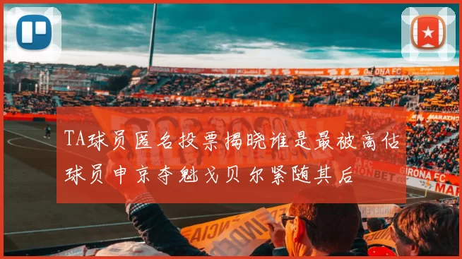 TA球员匿名投票揭晓谁是最被高估球员申京夺魁戈贝尔紧随其后
