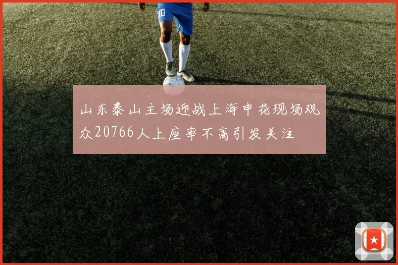 山东泰山主场迎战上海申花现场观众20766人上座率不高引发关注